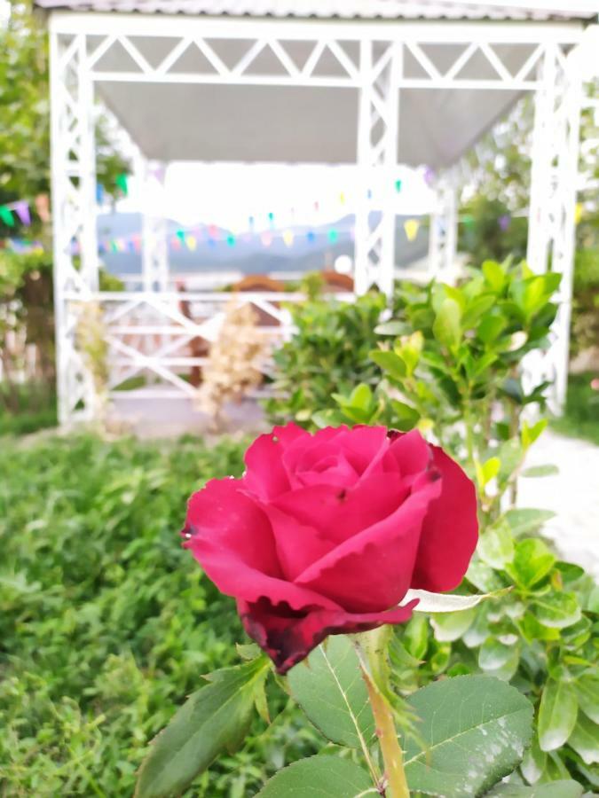 Bliss Inn Boutique Hotel 가발라 외부 사진