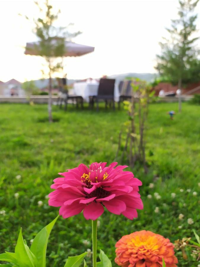 Bliss Inn Boutique Hotel 가발라 외부 사진